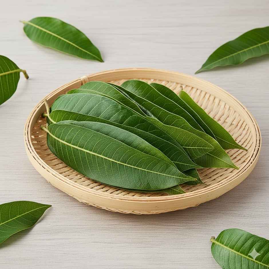 Mango Leaves