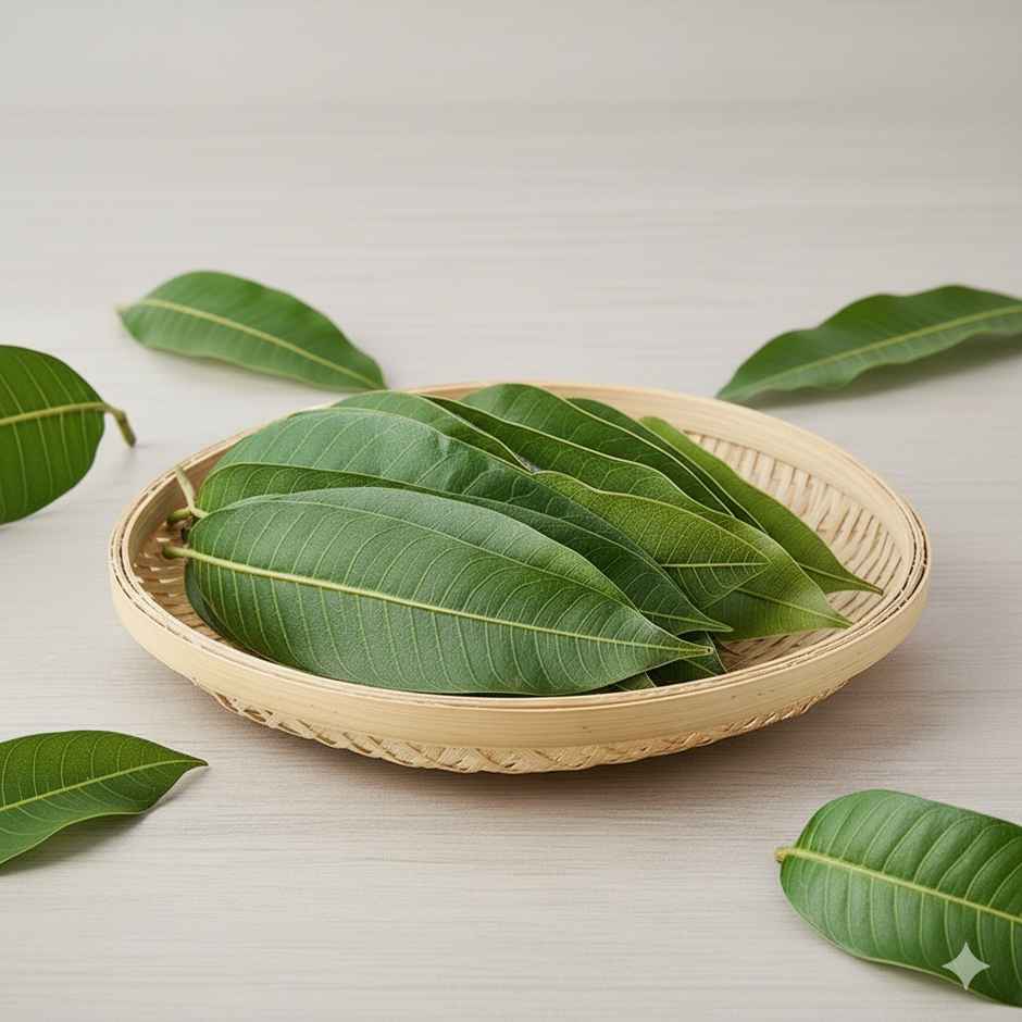 Mango Leaves