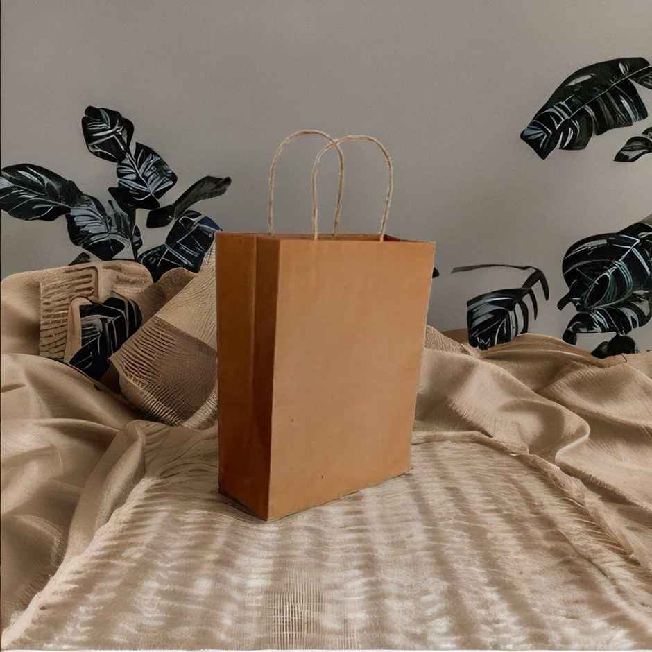 Tempware Paper Carry Bag 9x6x7 Weight Upto (1/2Kg) Pack Of 10