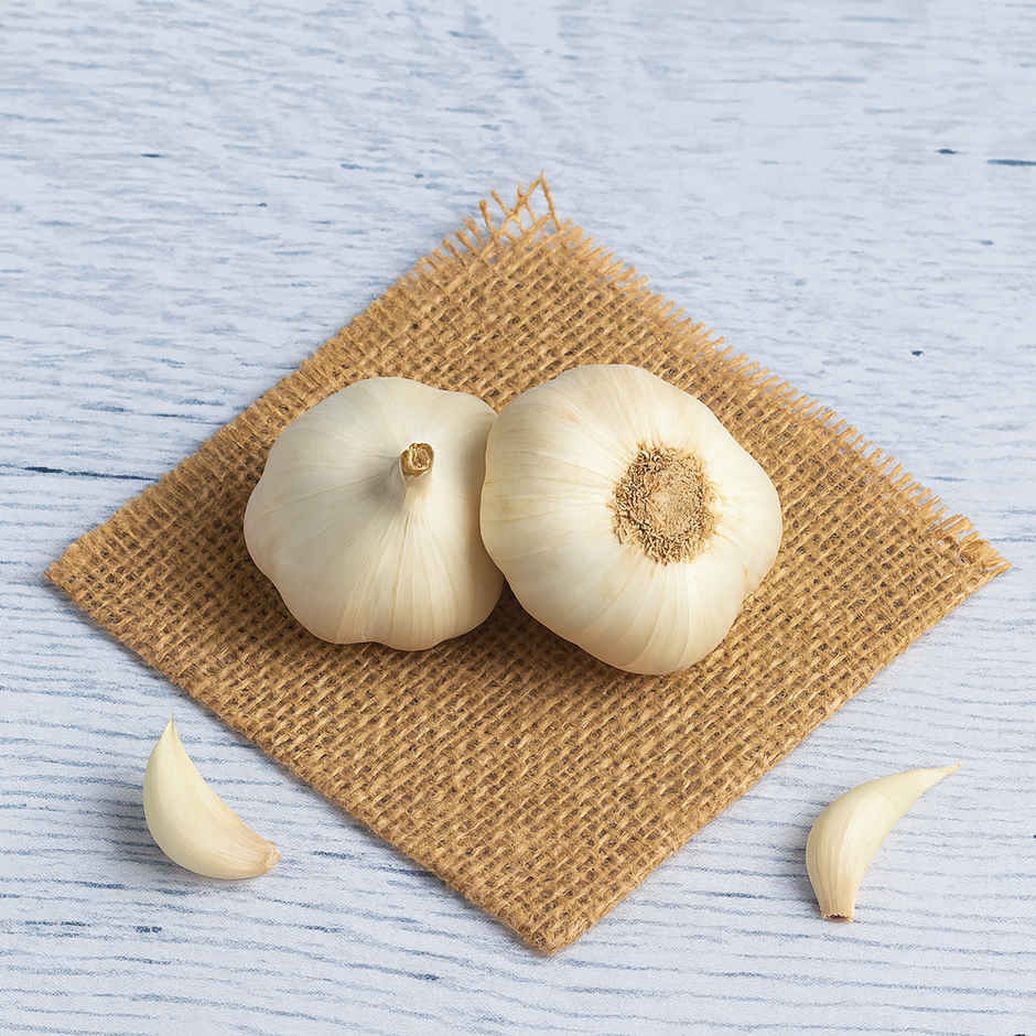 Garlic