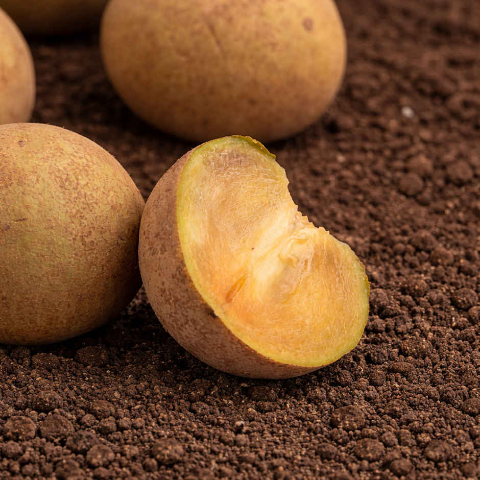 Organically Grown Sapota