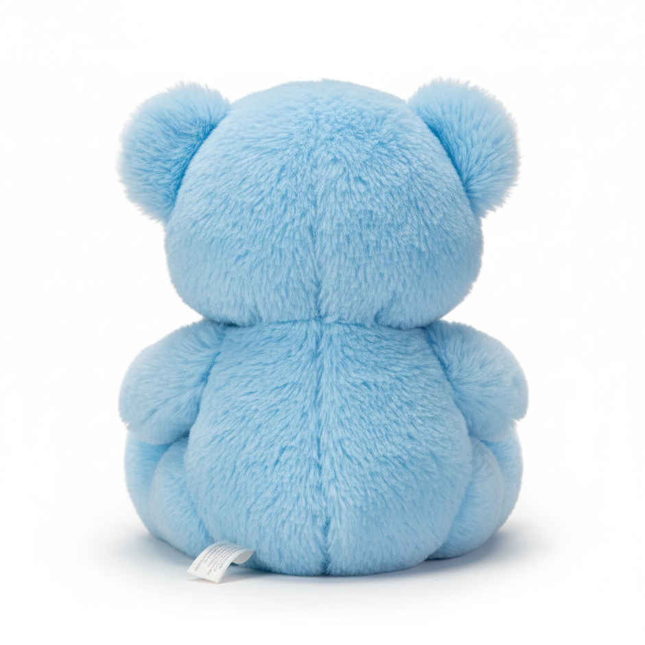 DearJoy Teddy Bear with Message on a Heart Blue 30 cm