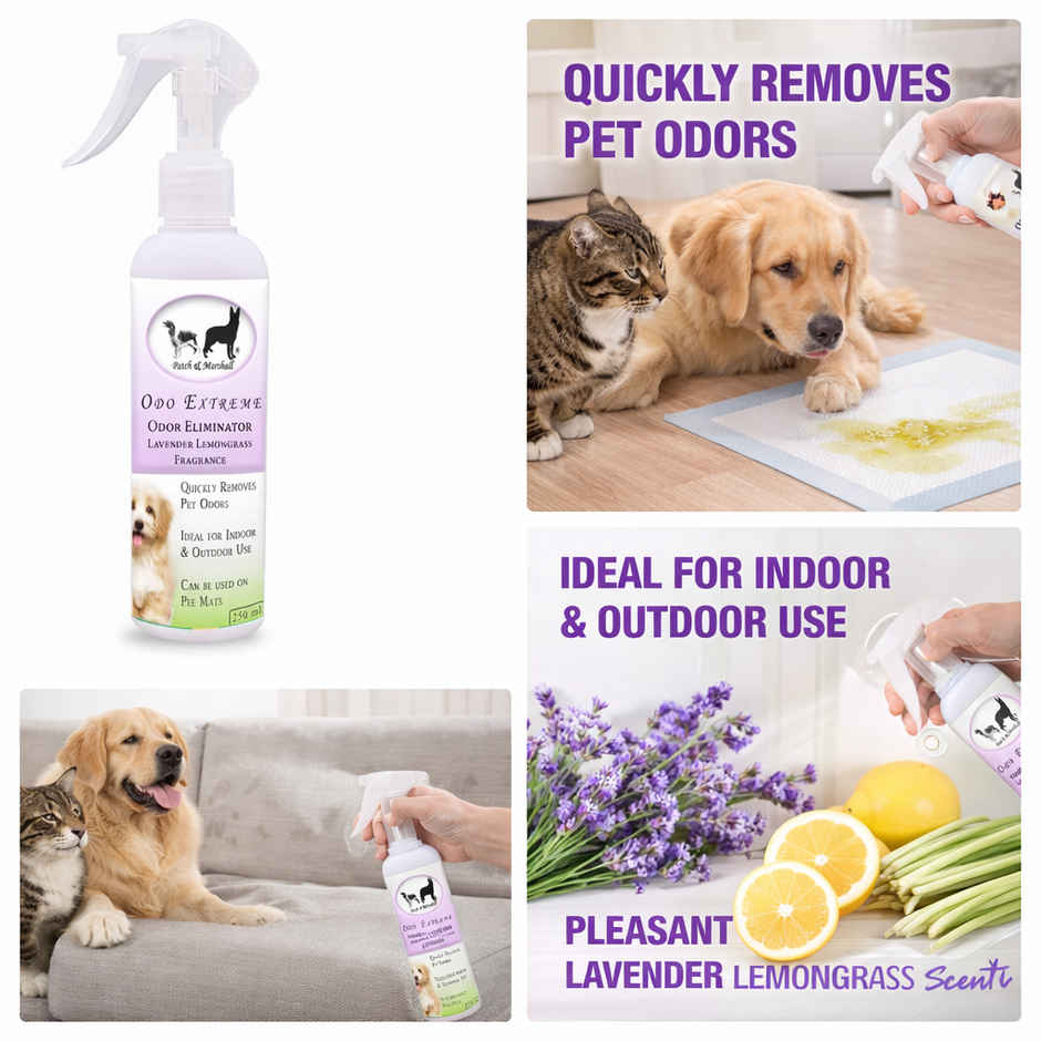 Patch & Marshall Odor Remover | Lavender & Lemongrass