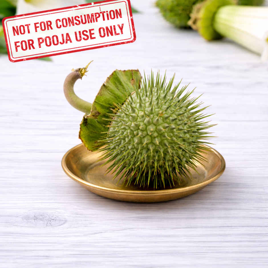 Bel Patra (50g) & Dhatura For Pooja (1pc) & Coconut (1pc) & Wood Apple (2pc) & Banana (4pc) & Rose Flower Mix (100g) Combo