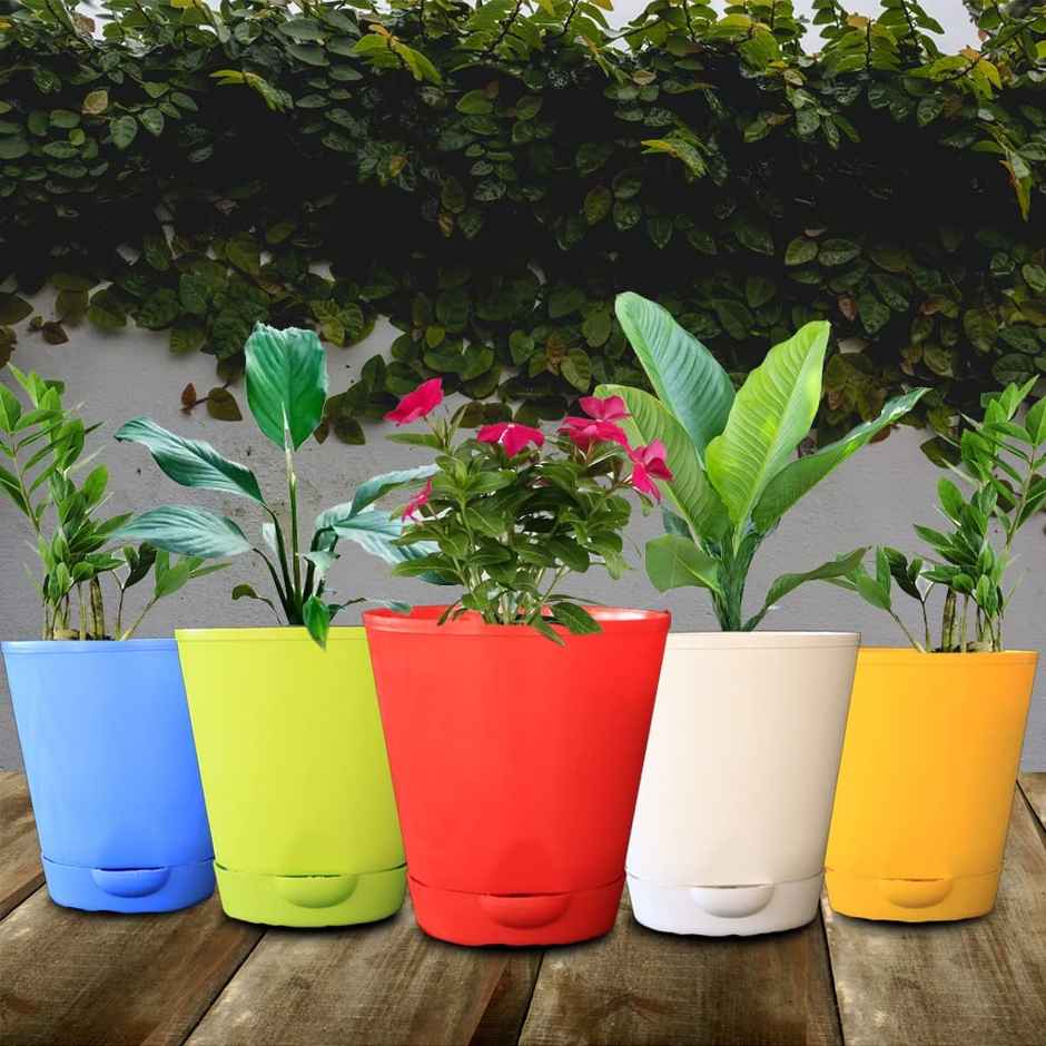TrustBasket Titan Self Watering Pots | 5.5 x 5.9 in | Smart Plastic Planters for Indoor & Outdoor