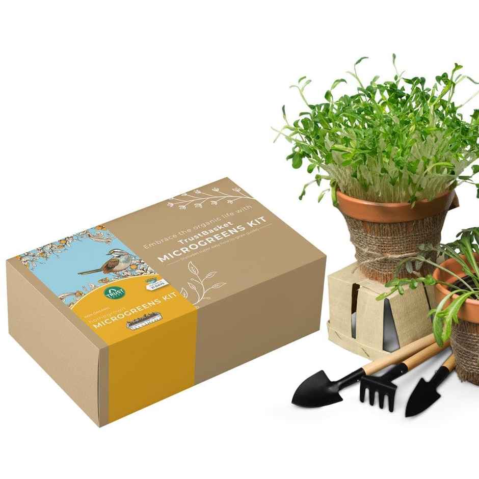 TrustBasket Homegrown Microgreens Kit | DIY Indoor Garden Kit for Beginners
