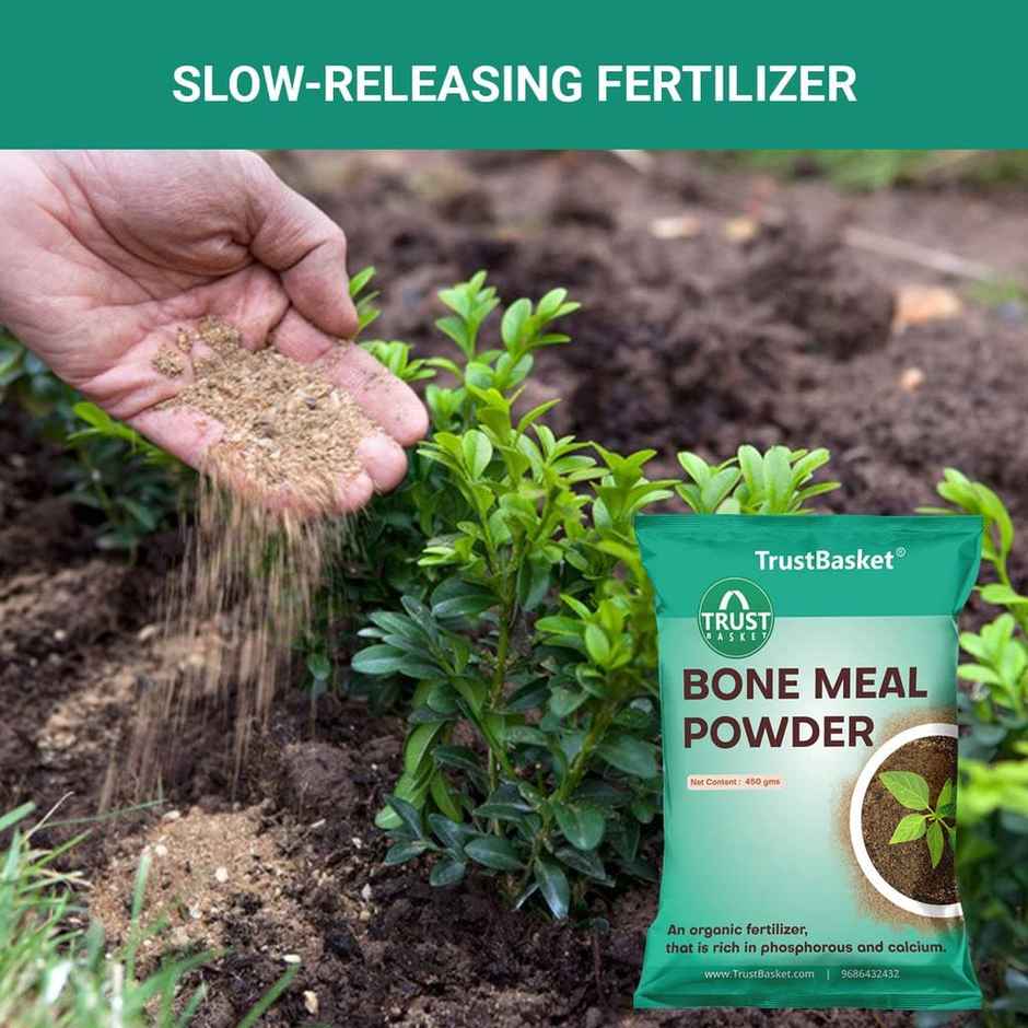 TrustBasket Bone Meal Fertilizer for Plants 450 Grams (Set of 1)