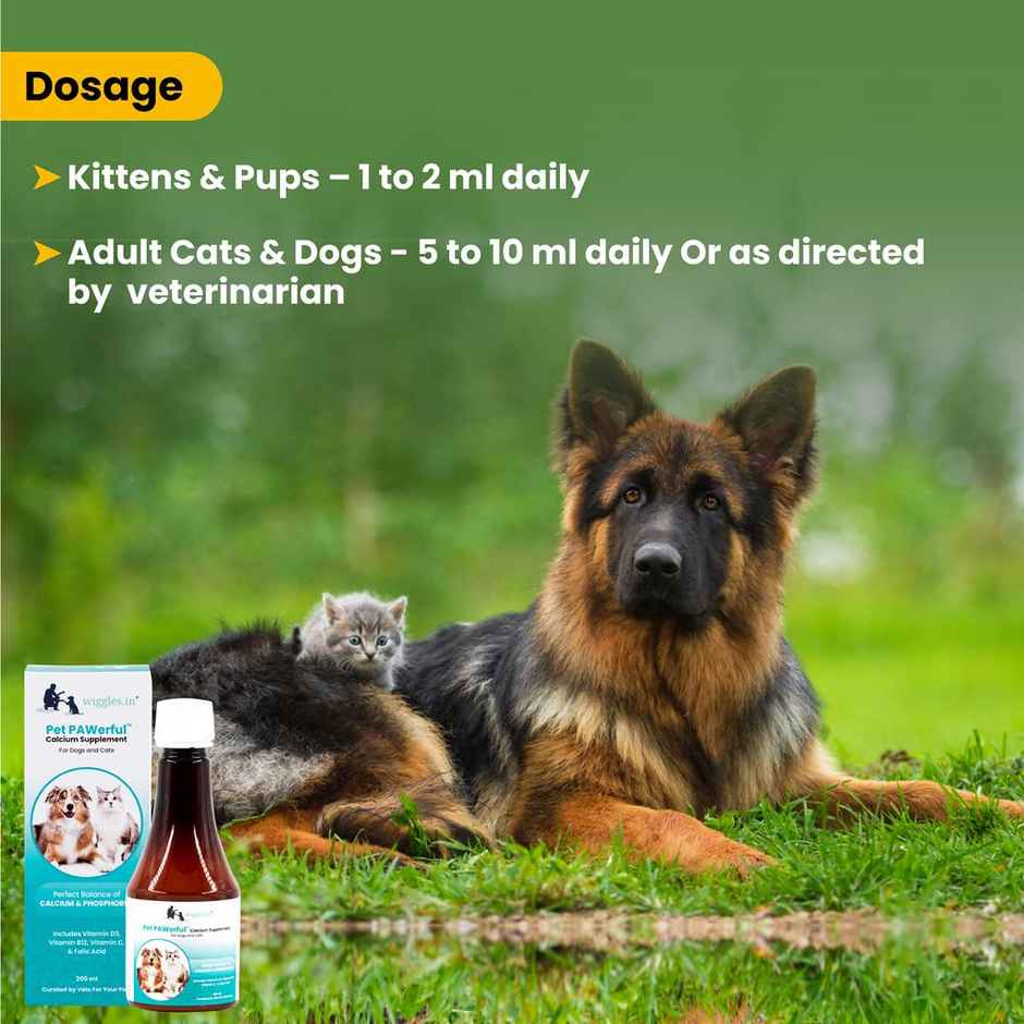 WIGGLES Pet PAWerful Calcium Phosphorus Syrup Supplement Dogs Cats, Essential Multivitamins Bone, Digestion, Skin Coat Care