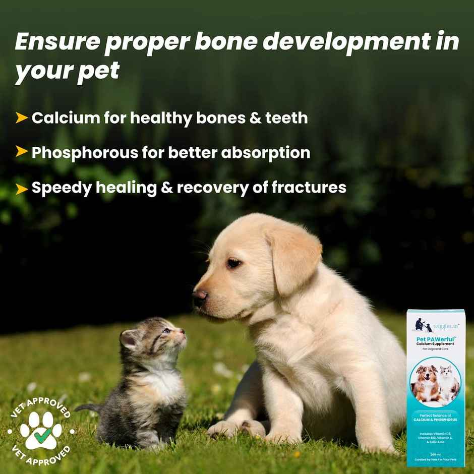 WIGGLES Pet PAWerful Calcium Phosphorus Syrup Supplement Dogs Cats, Essential Multivitamins Bone, Digestion, Skin Coat Care