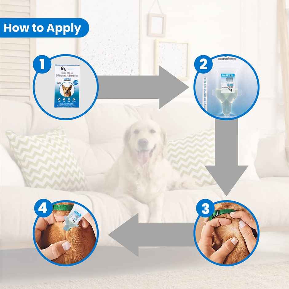 WIGGLES Eraditch Spot on for Dogs Fleas Ticks Remover Treatment Solution Drops, Large Dogs (20kg to 40kg)