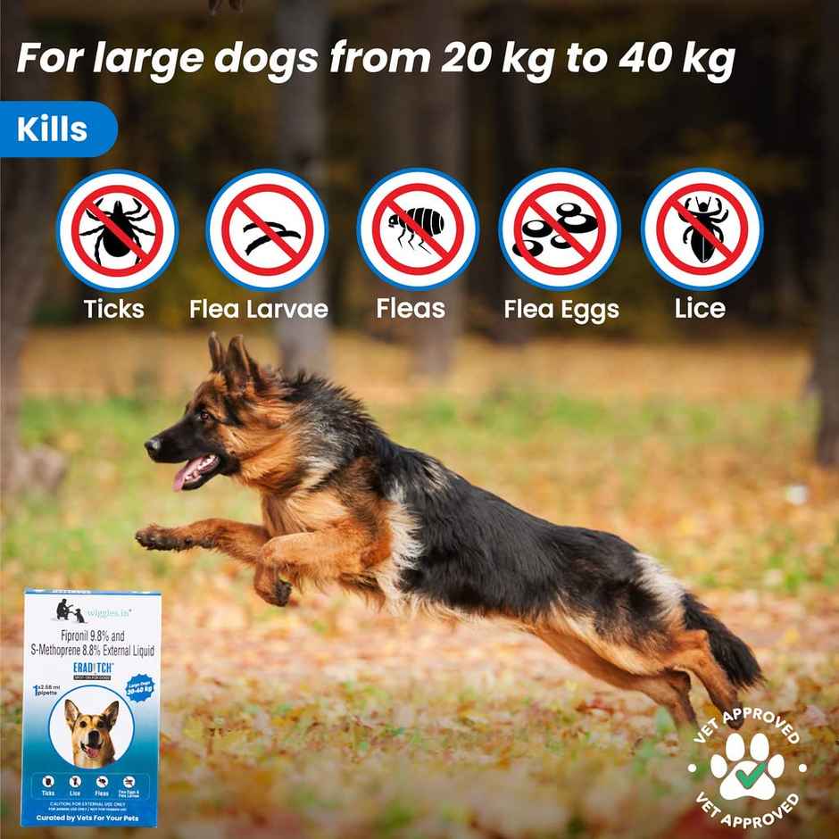 WIGGLES Eraditch Spot on for Dogs Fleas Ticks Remover Treatment Solution Drops, Large Dogs (20kg to 40kg)