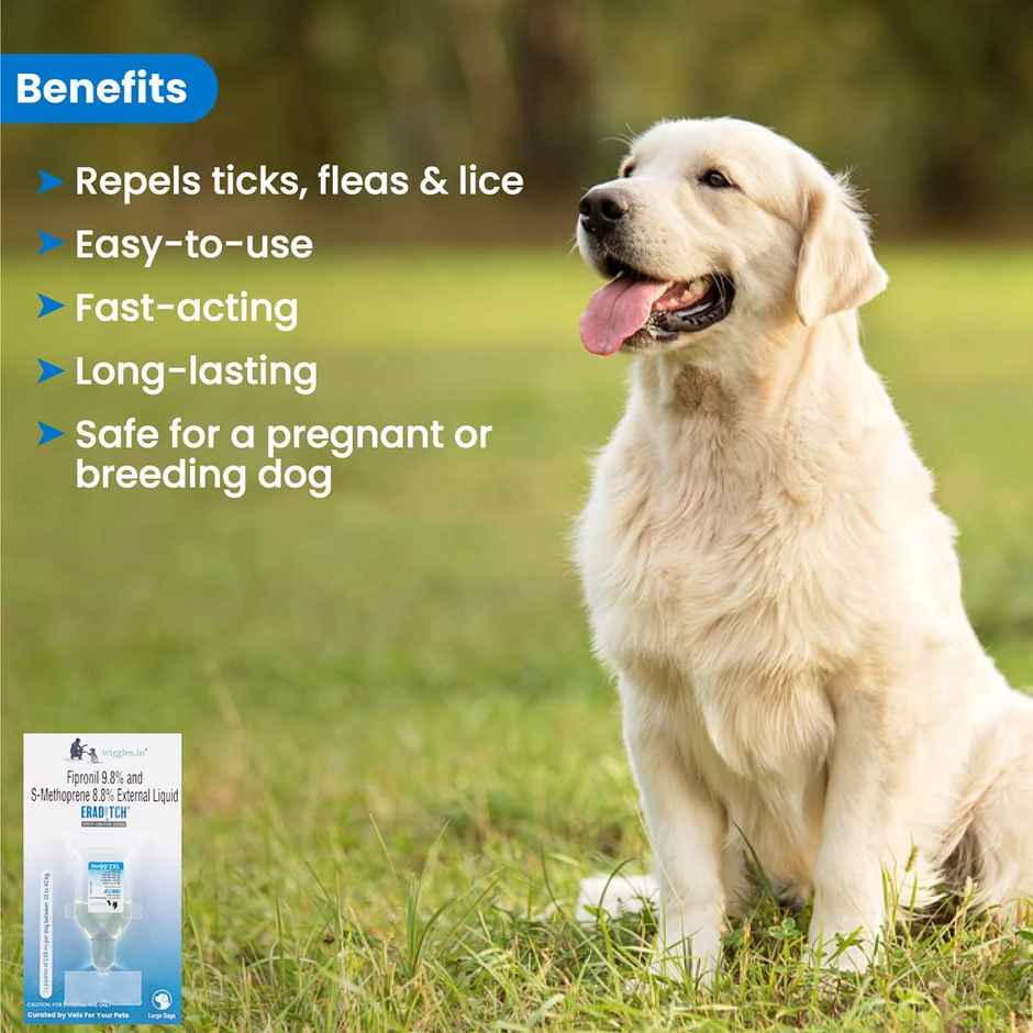 WIGGLES Eraditch Spot on for Dogs Fleas Ticks Remover Treatment Solution Drops, Large Dogs (20kg to 40kg)