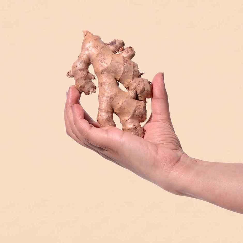 Bloom Ginger