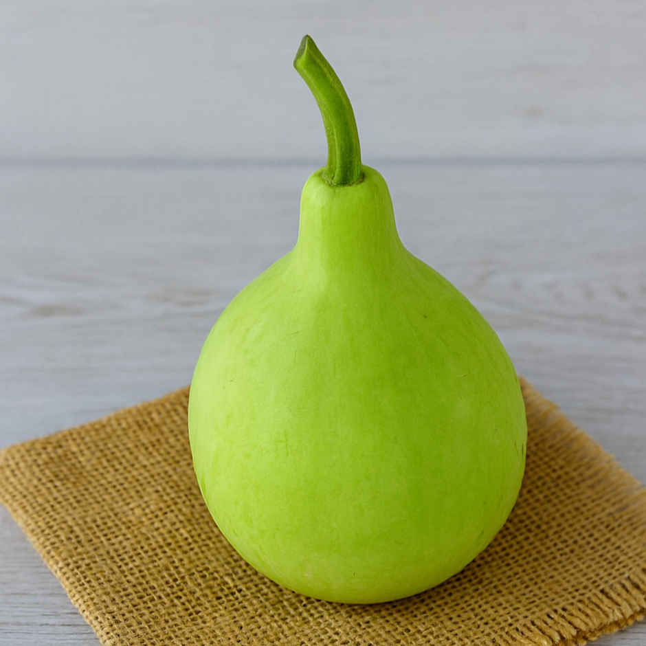 Bottle Gourd Round