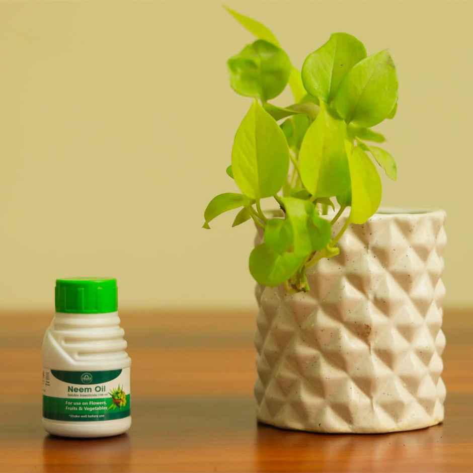 Trustbasket Neem Oil For Plants (100Ml) - Organic Eco-Friendly Pesticide To Reduce Harmful Pest
