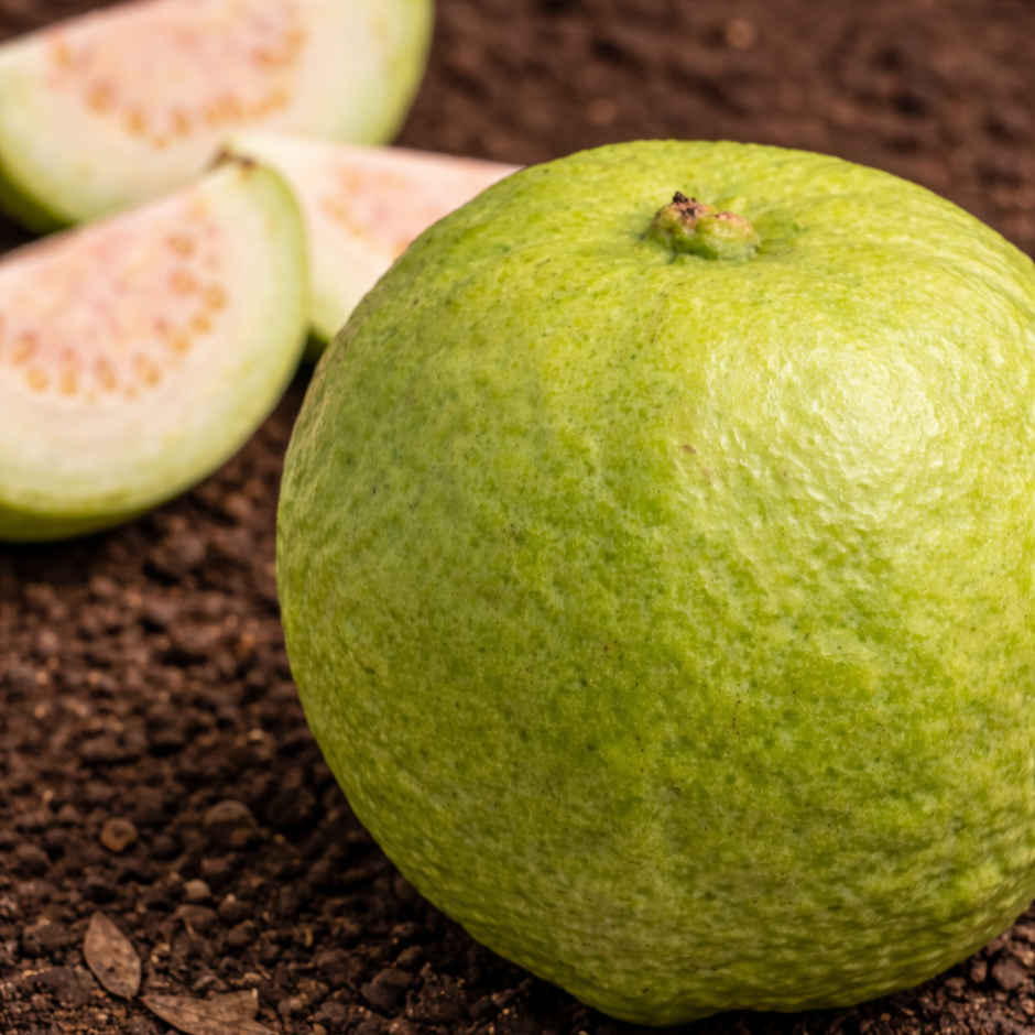 Organically Grown Thai Guava