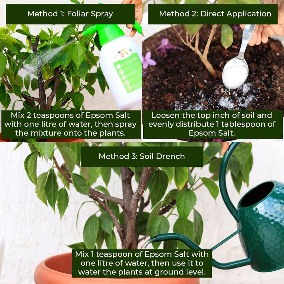 TrustBasket Epsom Salt