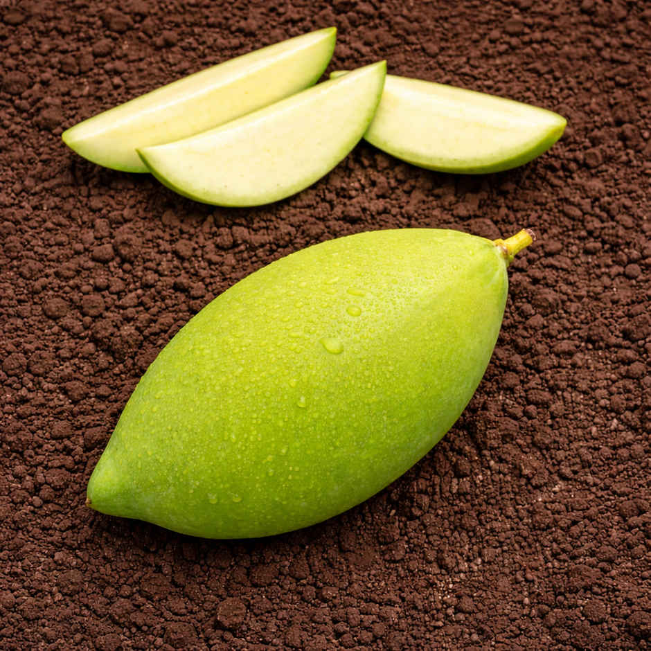 Organically Grown Mango Totapuri Raw