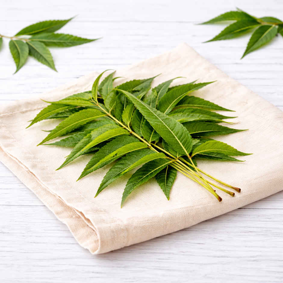 Neem Leaves