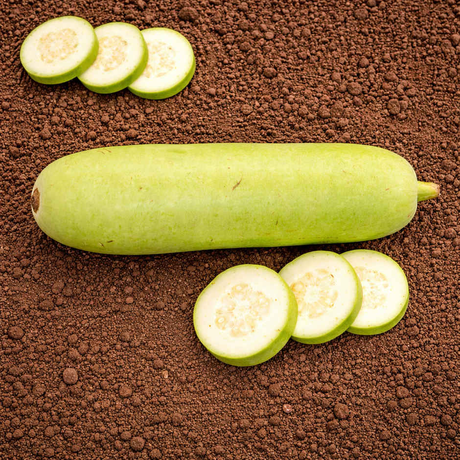 Organically Grown Bottle Gourd