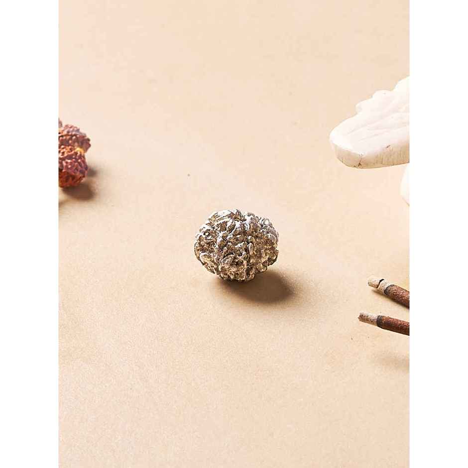 Pure Mercury Rudraksha Bead for Spiritual Use | Svasti
