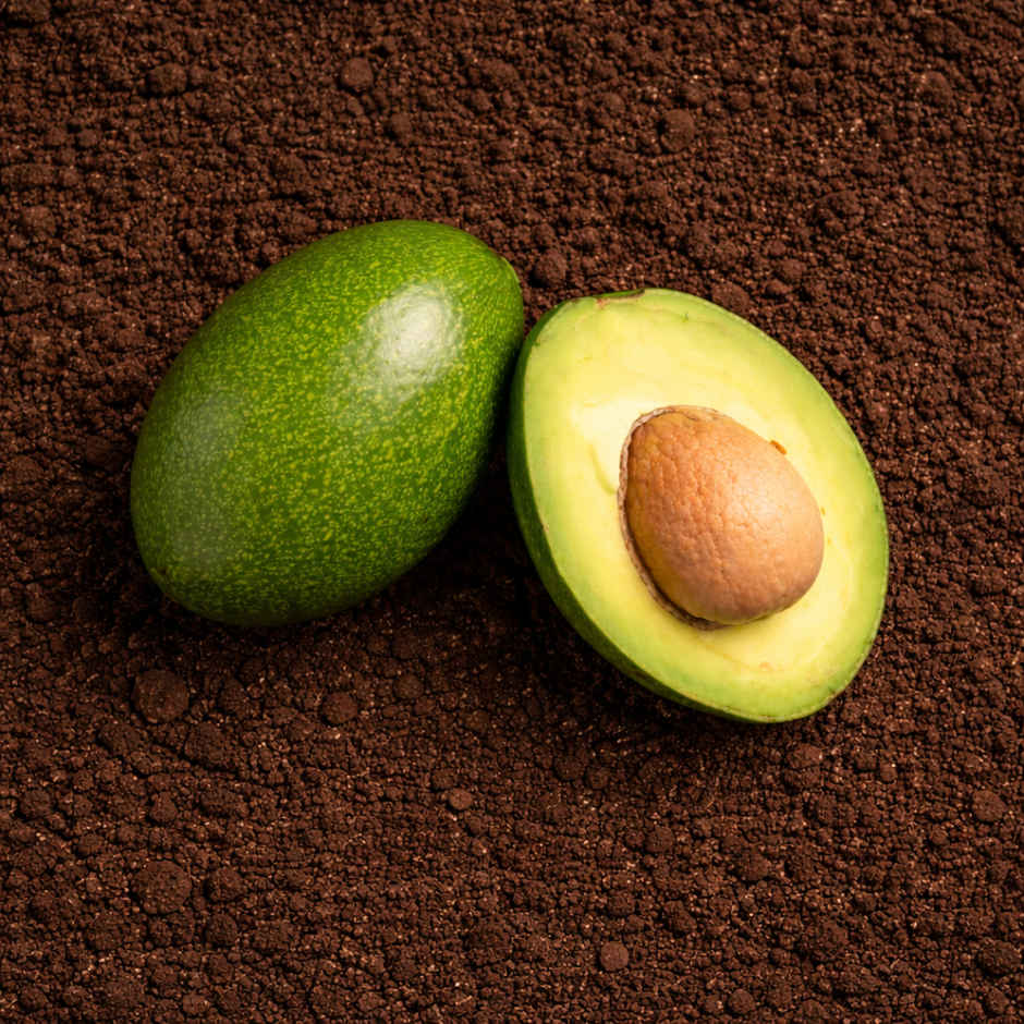Organically Grown Avocado