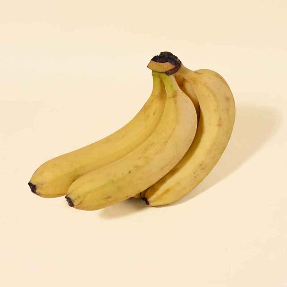 Bloom Banana Robusta