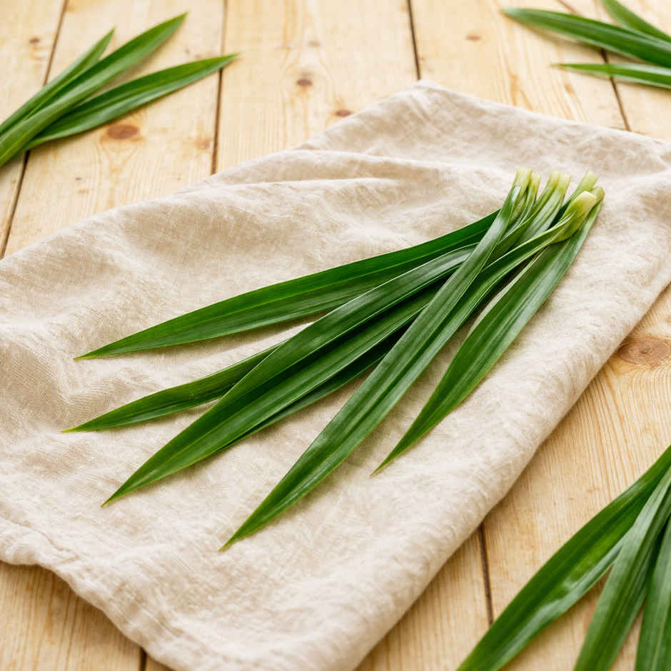 Pandanus Leaves