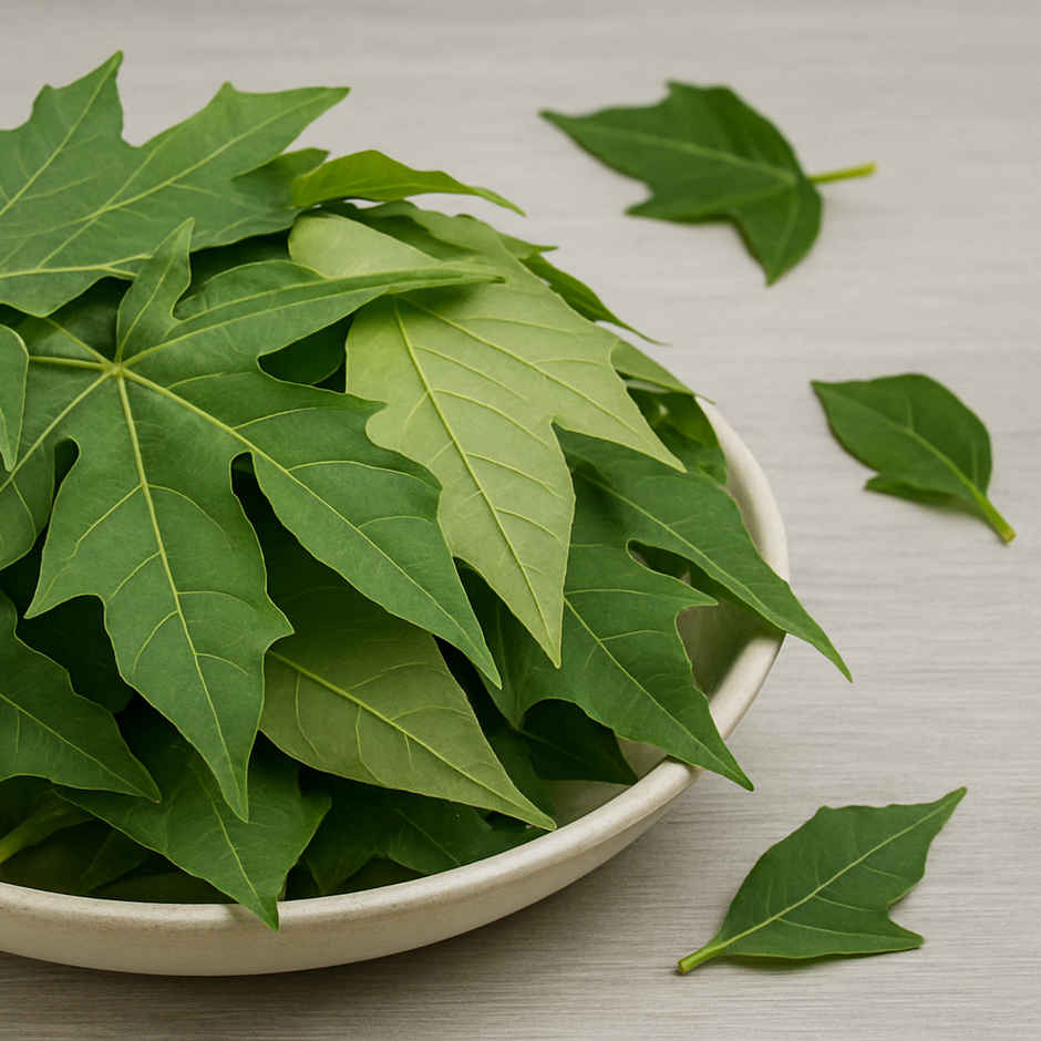 Papaya leaves