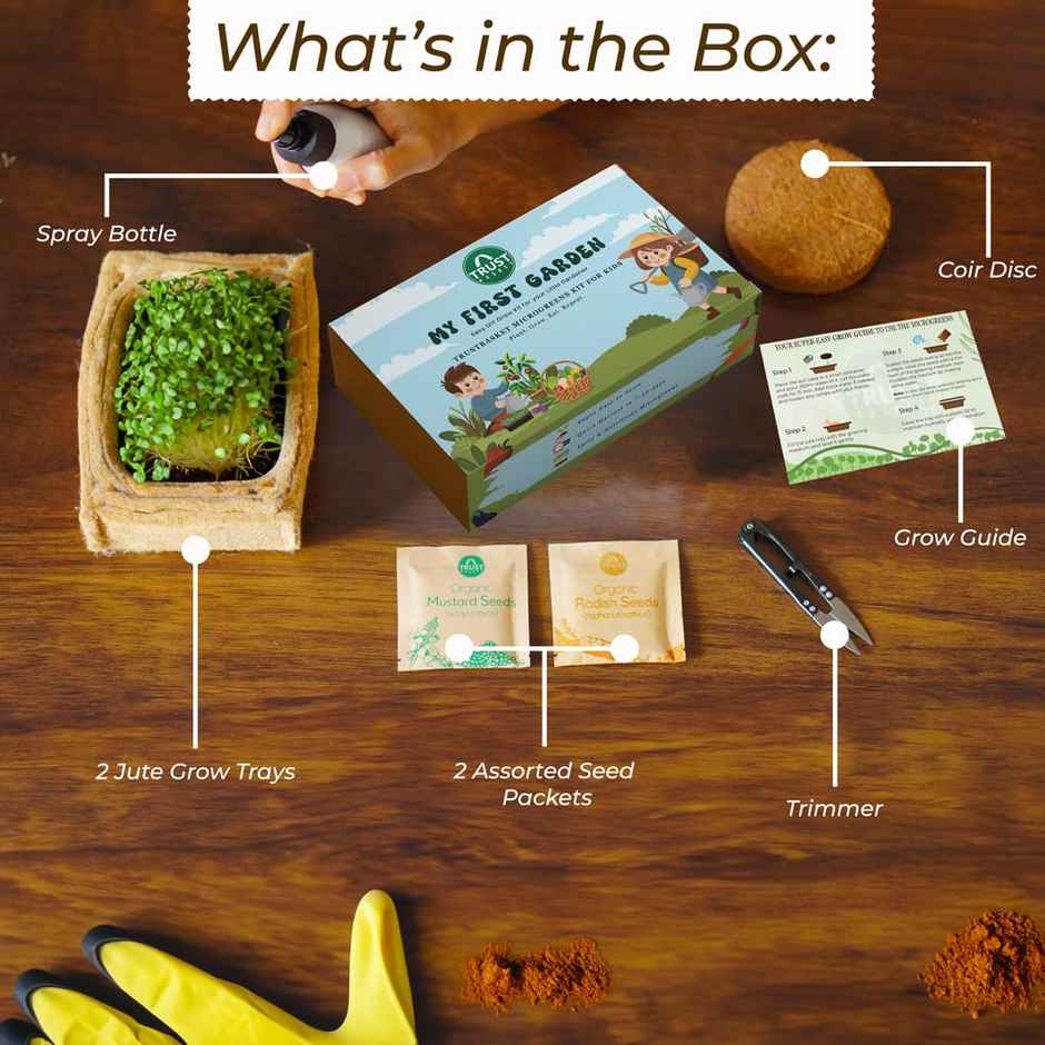 TrustBasket My First Garden Kit | Microgreens Gardening Starter Kit for Kids