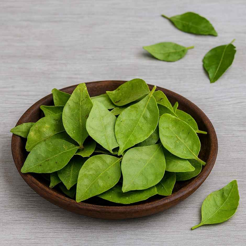 Bel Patra (Vilvam Leaves)