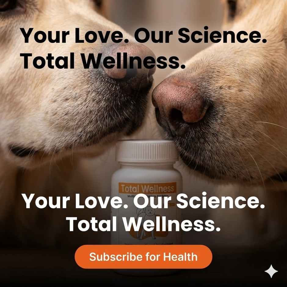Nootie Total Wellness Multivitamin Dog Supplement