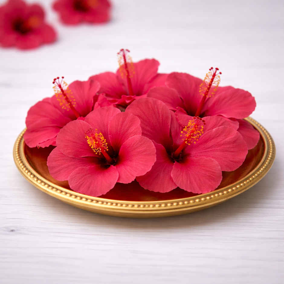 Hibiscus Flower