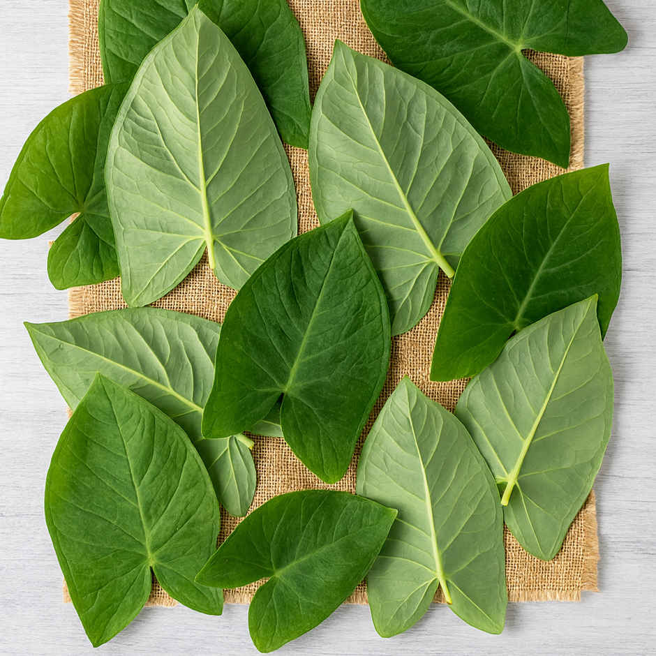 Colocasia Leaves (Arvi Patta) Combo