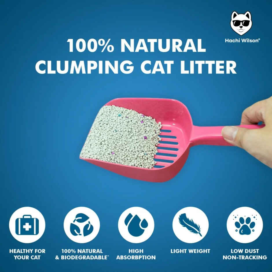Hachi Wilson Premium Natural Bentonite Cat Litter | Unscented