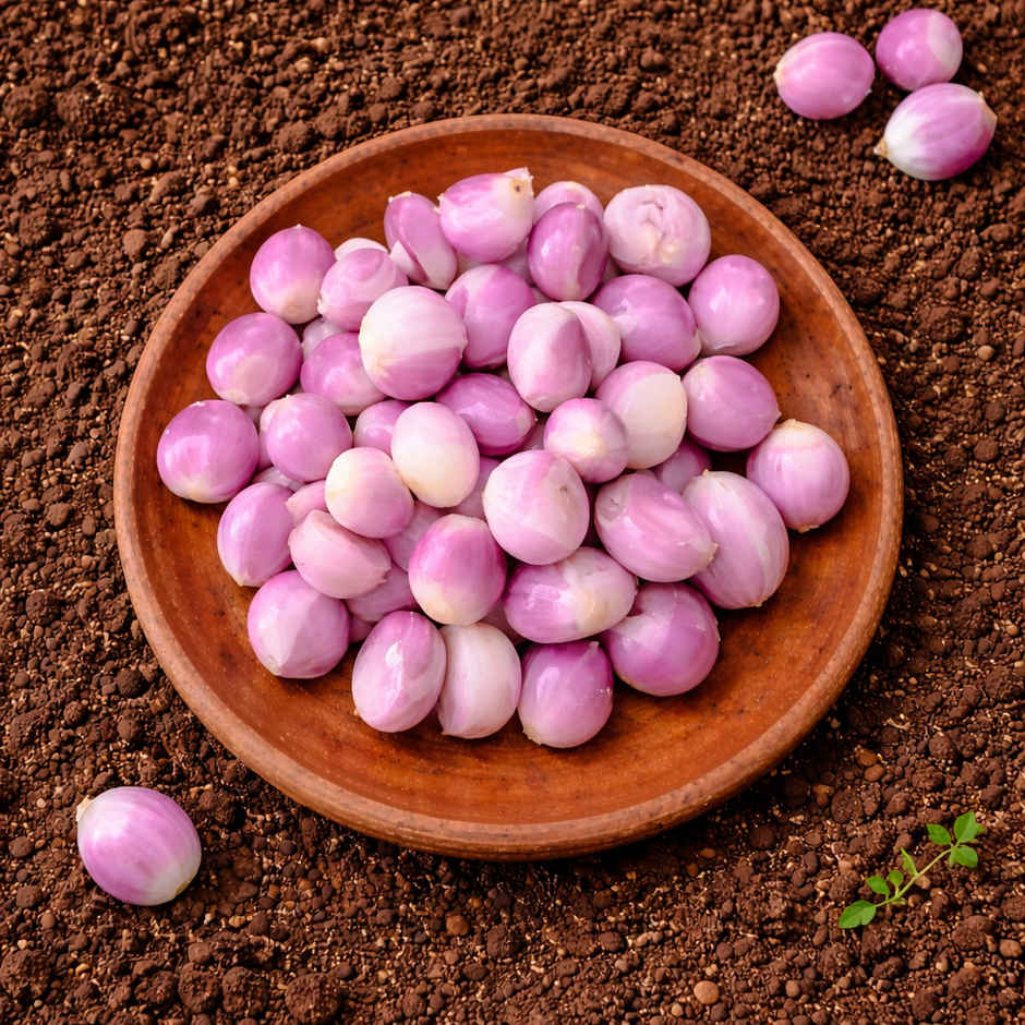 Organically Grown Sambhar Onion Peeled