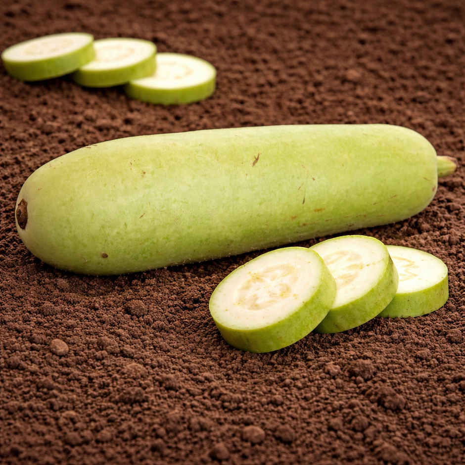 Organically Grown Bottle Gourd