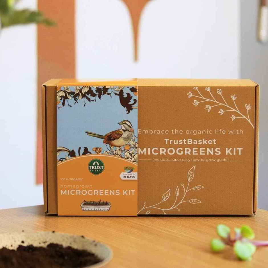 TrustBasket Homegrown Microgreens Kit | DIY Indoor Garden Kit for Beginners