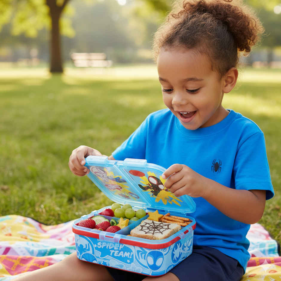 Striders Multi Compartment Rectangular Sandwich Box Spidey And Friends | XL