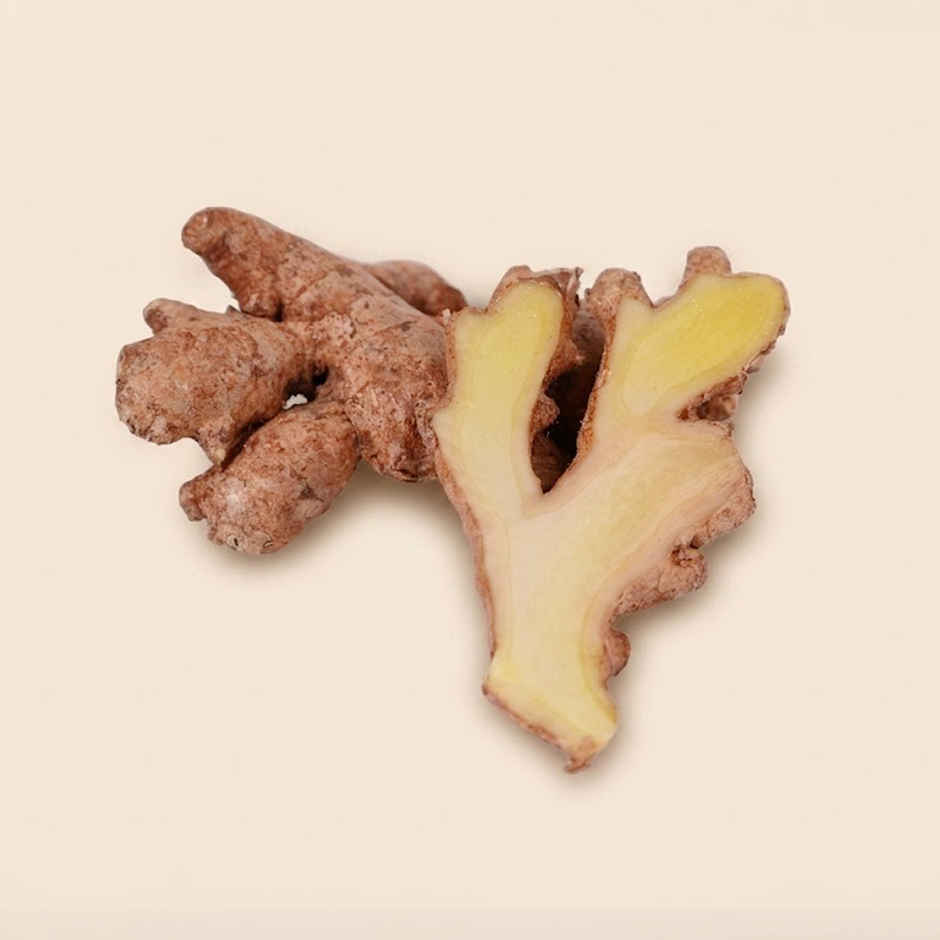 Bloom Ginger