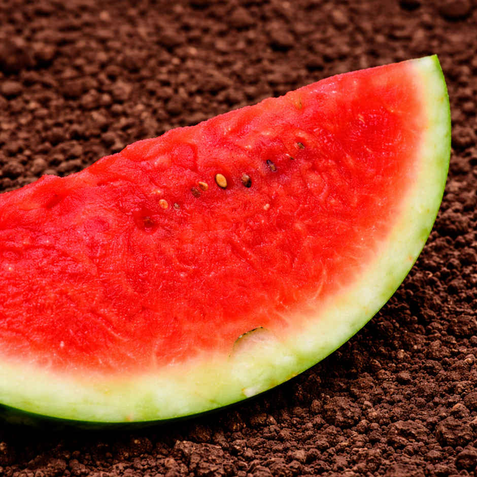 Organically Grown Watermelon