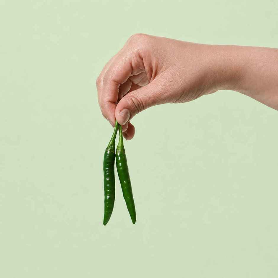 Bloom Chilli Green