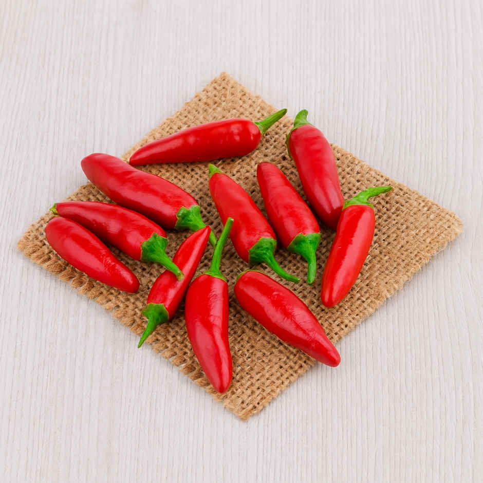 Chilli Thai Bird