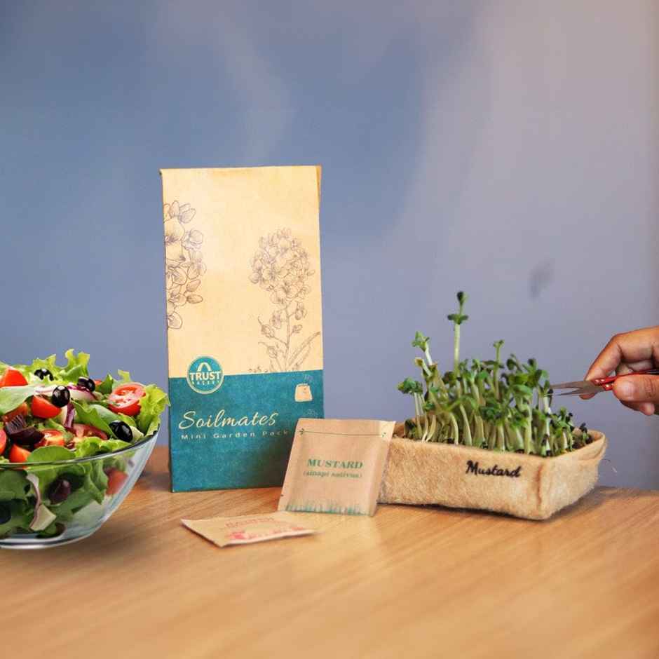 TrustBasket Soilmates Garden Kit | Microgreens Starter Kit for Indoor Growing