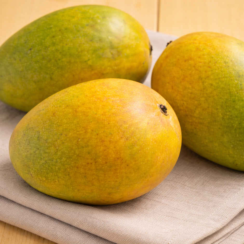 Mango Raspuri Combo  