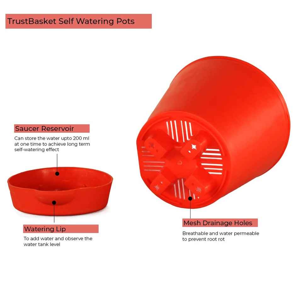 TrustBasket Titan Self Watering Pots | 5.5 x 5.9 in | Smart Plastic Planters for Indoor & Outdoor