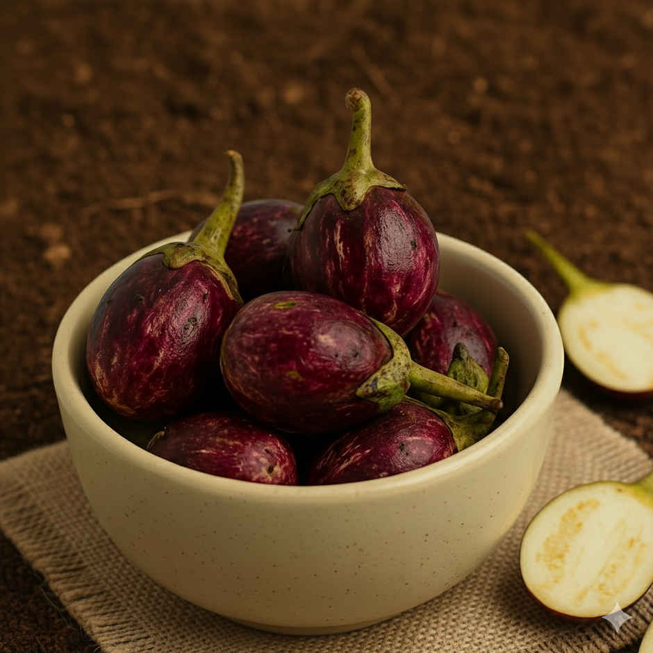 Organically Grown Brinjal