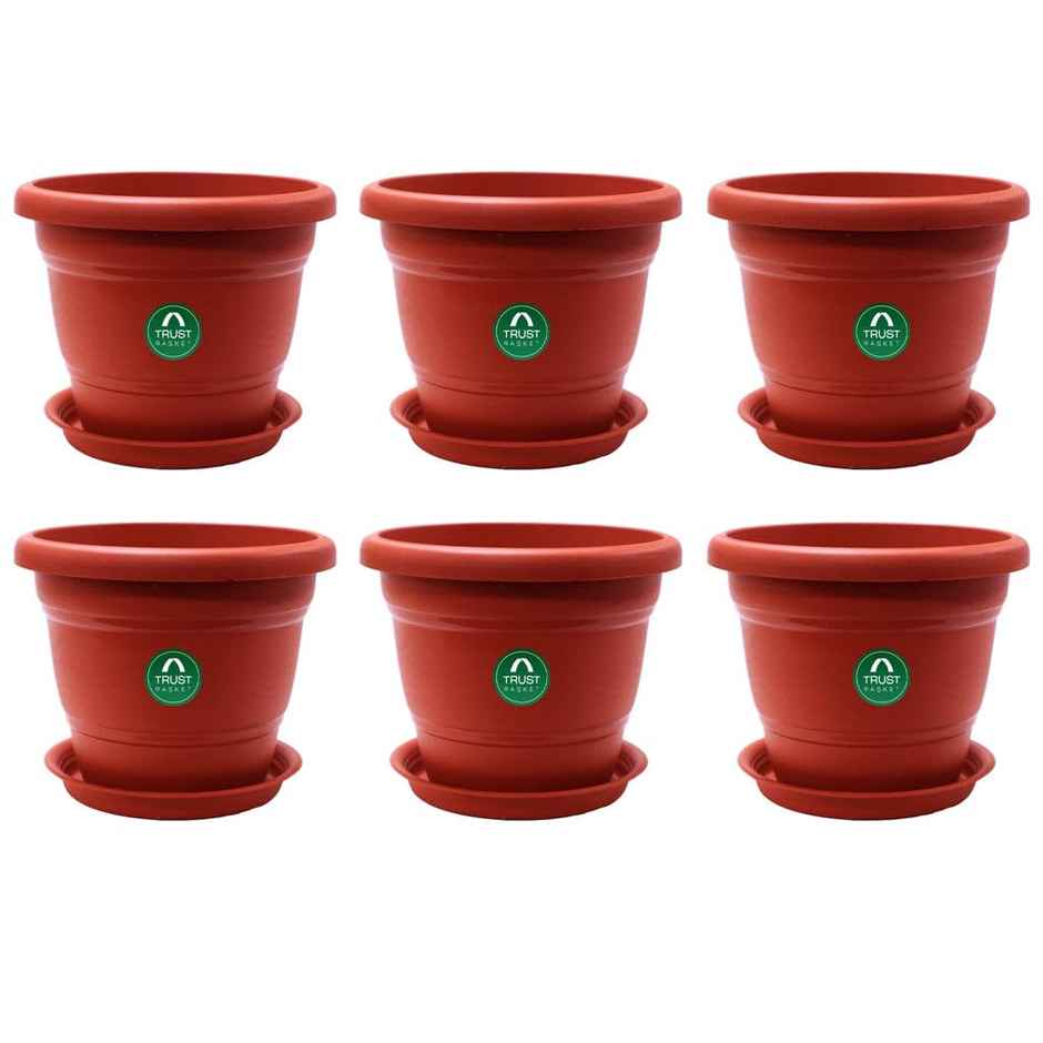 Cylindrical Plastic Plant Pot With Saucer | 8 inch | Brown