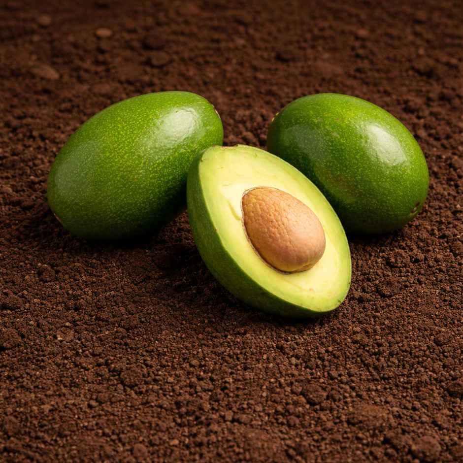 Organically Grown Avocado