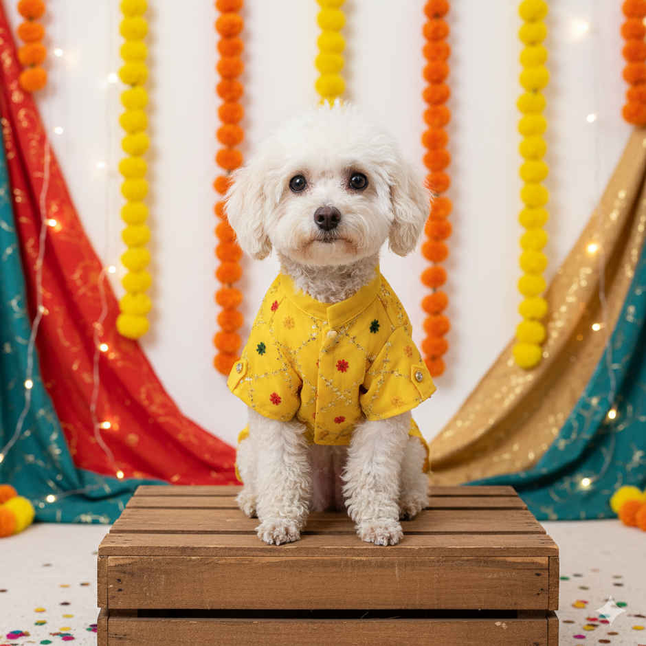 Pawgy Pets Festive Shirt Yellow For Dogs And Cats | S